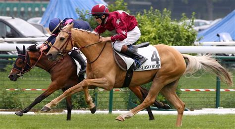 oregon horse betting.